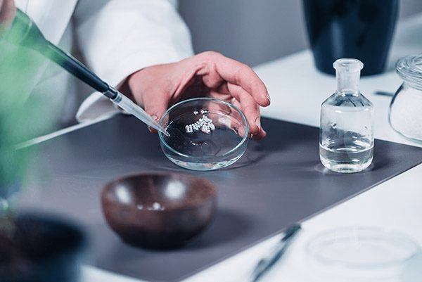 Dr. Willmar Schwabe India Pvt Ltd